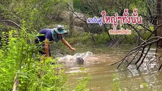 ฝนมาก็ต้องล่าชะโด ไซส์ใหญ่ต้องเจอพีอี200ปอร์น