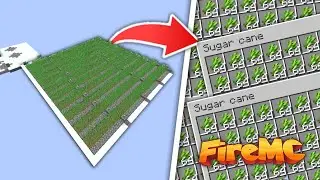 Making a Giant Sugar Cane Farm in Fire MC 🔥 -Minecraft @PSD1