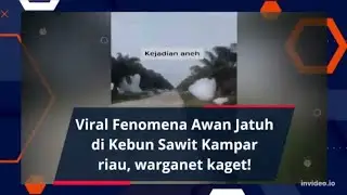 Viral Fenomena Awan Jatuh di Kebun Sawit Kampar riau, warganet kaget!