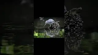 LENSA SEGEDE GABAN 