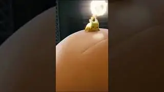 Pika Pika Pikachu pokemon shorts