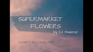 Supermarket Flowers by Ed Sheeran (Female cover)