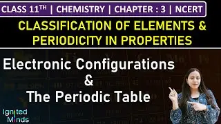 Class 11th Chemistry | Electronic Configurations of Elements & The Periodic Table | Chapter 3