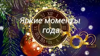 Институт Петерсон: яркие моменты 2022 года