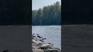 Река Снежная Выдрино