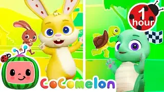 Tortoise Dance? OR the Hare Dance? | @CoComelon Nursery Rhymes & Kids Songs