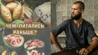 Развитие челюсти и питание | Нейротипология