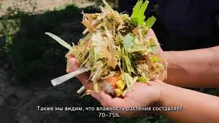Үй шартында силос даярдоо (Готовим силос в домашних условиях)