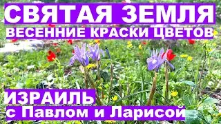 Holy Land | Spring Flowers Colors