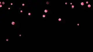 футаж  падающие лепестки роз