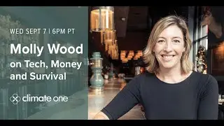 Molly Wood on Tech, Money and Survival