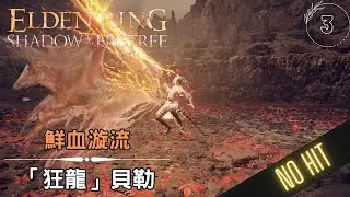 Elden Ring DLC Bayle the Dread SOLO No Damage