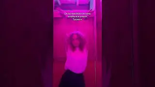 Тгк: поле ромашек