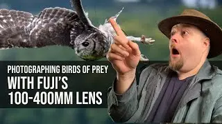 Photographing Birds Of Prey, Bird Photography With Fuji's 100-400 Lens