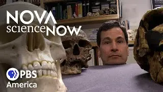 What Makes Us Human? (2012) FULL SPECIAL | NOVA | PBA America