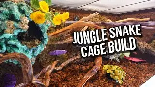 Green Tree Python Custom Cage Build | KristenLeannimal