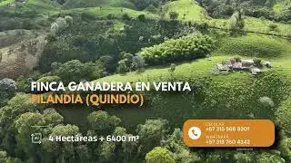 Finca en venta Eje Cafetero - Filandia Quindío - Ganadera