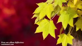 Concentration Music Relaxing Music for Studying Concentration | Study Music | Instrumental Music