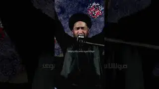 Momineen Ke Sath Mil Ke Nara E Haideri || Al Mohsin Imam Bargah || Maulana Ali Raza Rizvi #muharram