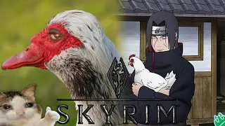 Skyrim RfaD SE 4.0 Dev v2. Каджит без товаров и без монет.