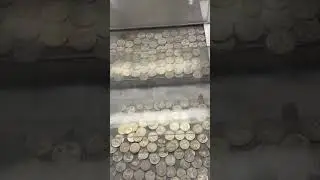 Playing the coin pusher using coins found while Metal Detecting #metaldetecting #coinpusher #quarter
