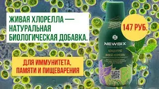 Концентрат Живой Хлореллы Newbix