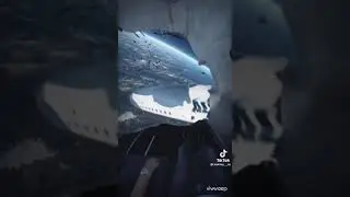فيديوهات ليسه لها معنه