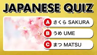 50 Essential Japanese Words & Phrases Quiz for Beginners (Hiragana, Romaji, Kanji)