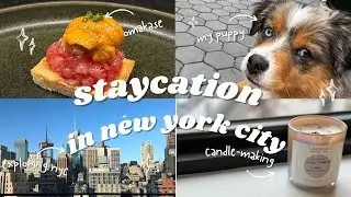 staycation: week off in new york city (feat. my aussie puppy)