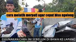 CARA MELATIH MERPATI AGAR CEPAT BISA NGOLONG TONTON VIDEO INI #merpati  #merpatikolong
