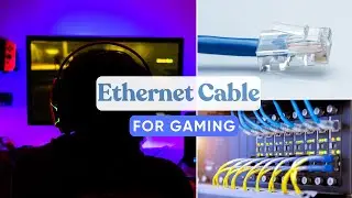 Best Ethernet Cable for Gaming 2024 [Cat 8, 7, 6 Reviews]