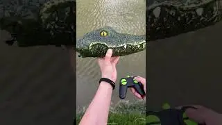 Remote Control Crocodile Head Boat 🐊 for Pools and Lakes - Prank Gifts & Toys #Shorts #rctoys #prank