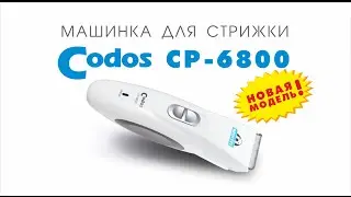 Codos CP-6800 машинка для стрижки шерсти животных (новинка 2014)