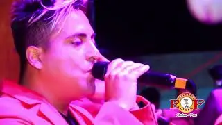 LOS TIGRES DEL SABOR  - YA NO LA BUSQUES
