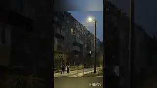 Пришла зима... 01.12.23.
