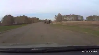 Ас бочка сливает    овно на обочину