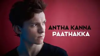 ✨Tom Holland ✨|| WhatsApp status ||@join_cutz