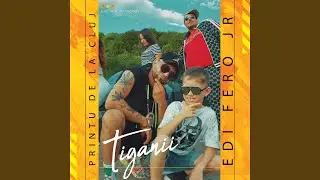 Tiganii