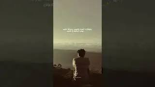 love Feeling status#lyrics #tamil #tamil_whatsapp_status #love #trending #trueline #💞VV❤