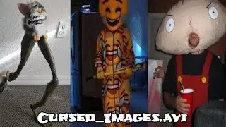Cursed_Images.avi