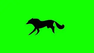 Dark shadow wolf running cycle green screen