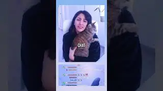 NO TE PONGAS ESE GATO EN LA CARA