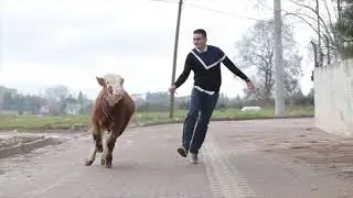 Gucci Gang Turkish Version (Turkce Versiyon ) (Kebab Gang