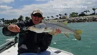 Big Fort Pierce Inlet Snook