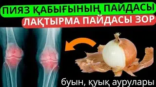 СІЗ БІЛМЕЙ ЛАҚТЫРЫП ЖҮРГЕН ПИЯЗ ҚАБЫҒЫНЫҢ ПАЙДАСЫ