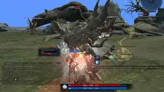 TERA Online, крушитель, часть 1