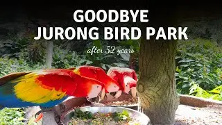 Goodbye Jurong Bird Park after 52 years!