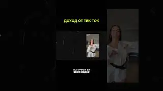 TikTok Blogger Income 💰🤯 