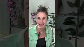 Enfant TDAH : 80% des parents ne font pas ça !