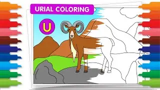 Animals ABC Coloring Fun: Urial Comes Alive | Letter U